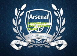 开云在线|范戴克举手门引爆争议，无解手球葬送红军关键战