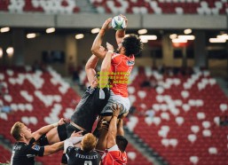 开云体育-泰山主帅郝伟不求稳守求三分 战术冒险显决心，全队赛后坦言已倾其所有