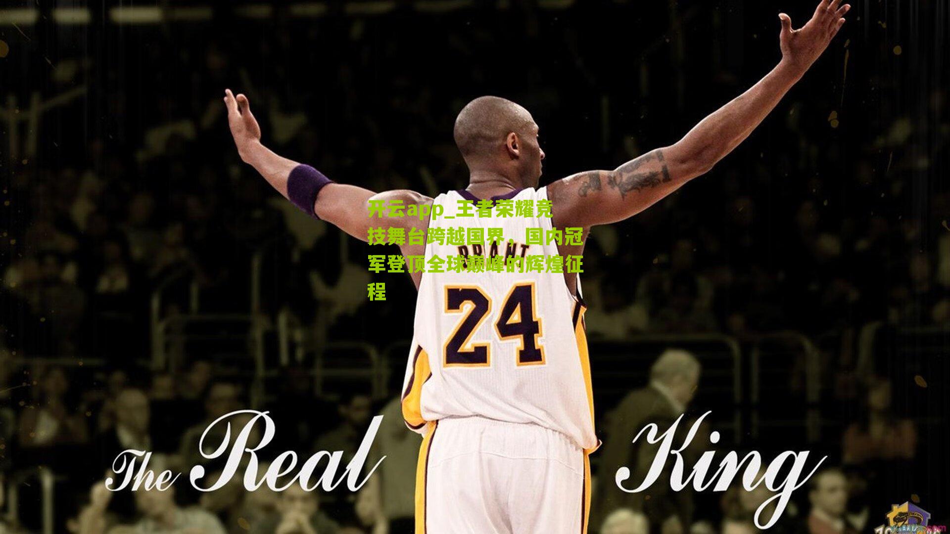 王者荣耀竞技舞台跨越国界,国内冠军登顶全球巅峰的辉煌征程